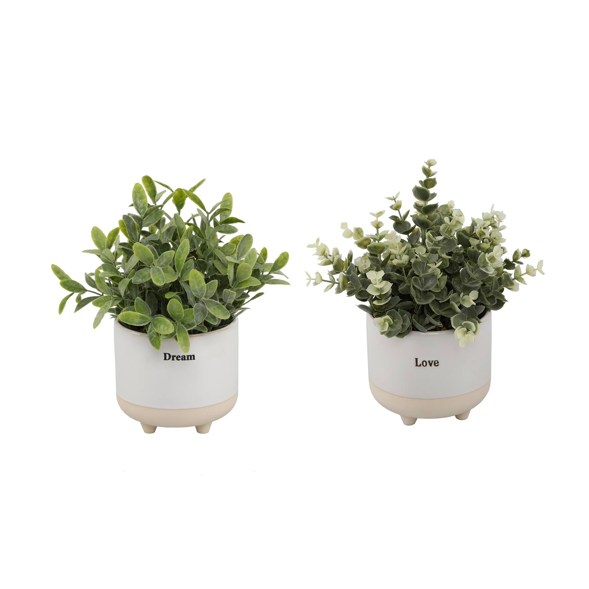 Flora Bunda® 4.75" Eucalyptus In Tea Leaf In Dream Ceramic & Love Text Footed Set